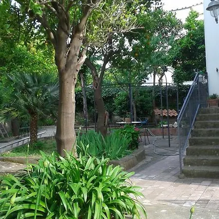 La Misma Luna Bed & Breakfast Meta