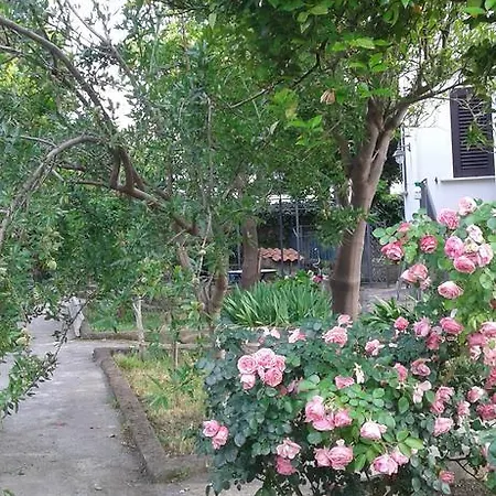 La Misma Luna Bed & Breakfast